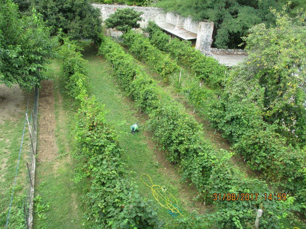 La Corte Di Ottorina Villa Pederobba Buitenkant foto